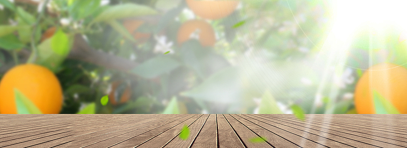 脐橙水果海报banner
