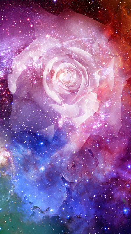 闪耀星光玫瑰花背景