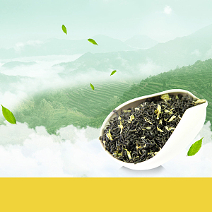 清新茶叶茶园PSD分层主图背景素材