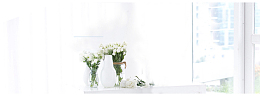 淘宝 bunner taobao