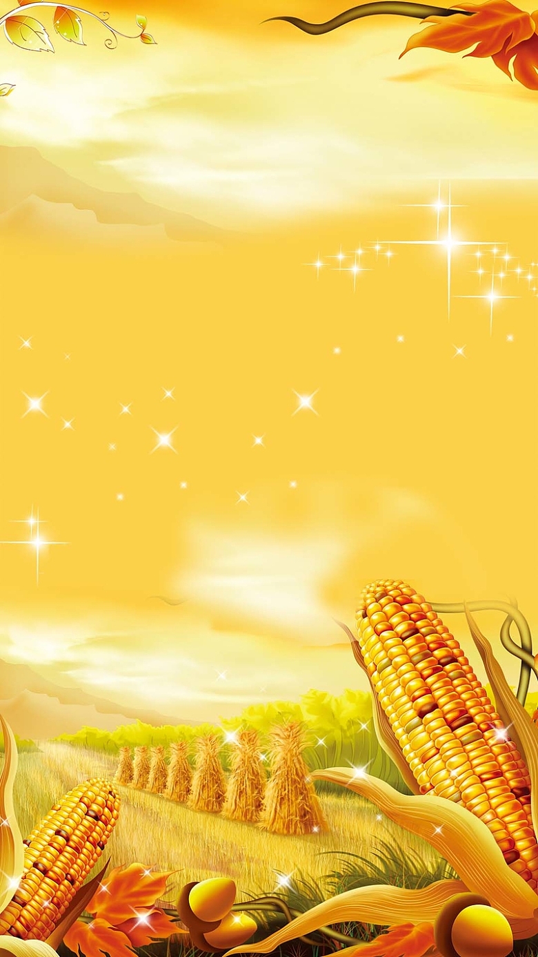 金色秋天玉米丰收麦堆H5背景