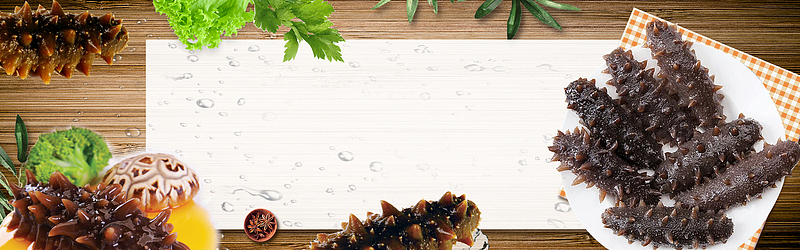 精致海参几何木纹banner