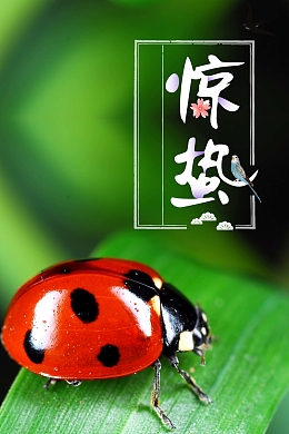 绿色简约惊蛰节气宣传海报