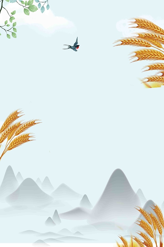 简约二十四节气芒种海报