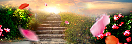 婚庆梦幻黄色banner背景