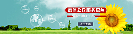 服务唯美文艺浪漫背景