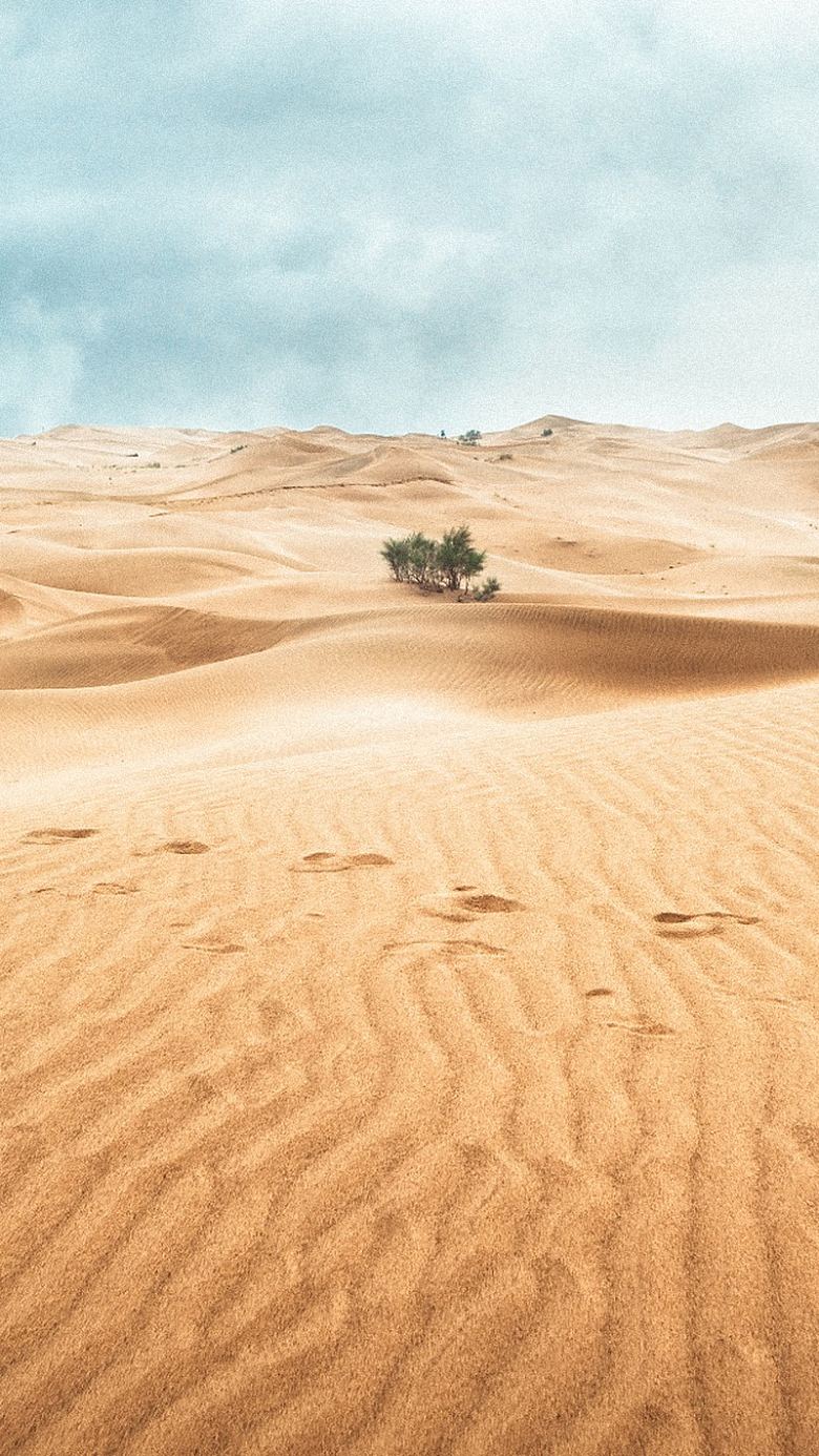 沙漠H5背景