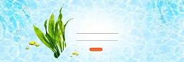 自然化妆品海洋元素海报banner