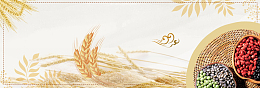 五谷杂粮食品美食清新banner