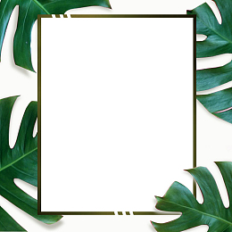 淘宝春夏焕新唯美清新首饰项链