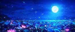 夏日荷花夜景banner