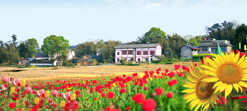 农村宣传海报banner