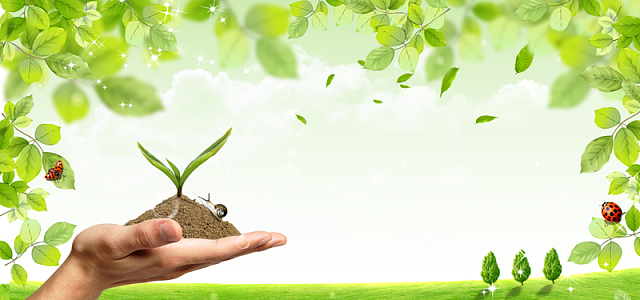 保险服务清新绿色海报背景