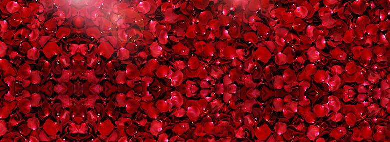 情人节玫瑰花浪漫红色海报背景