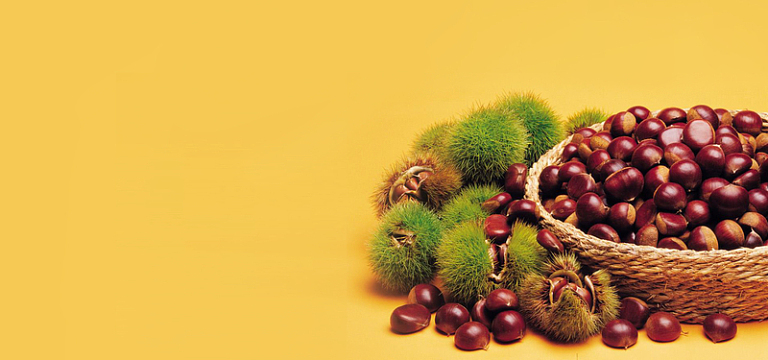 秋季农产品背景