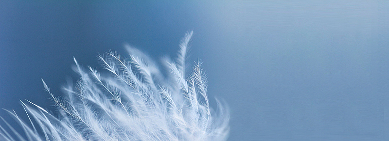 羽绒海报背景素材图片-羽绒海报背景图片下载-觅元素