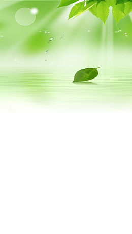 清新唯美绿叶背景H5背景