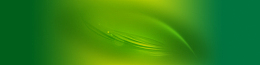 纯绿色环保展板banner背景