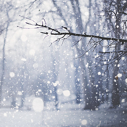 唯美雪景背景