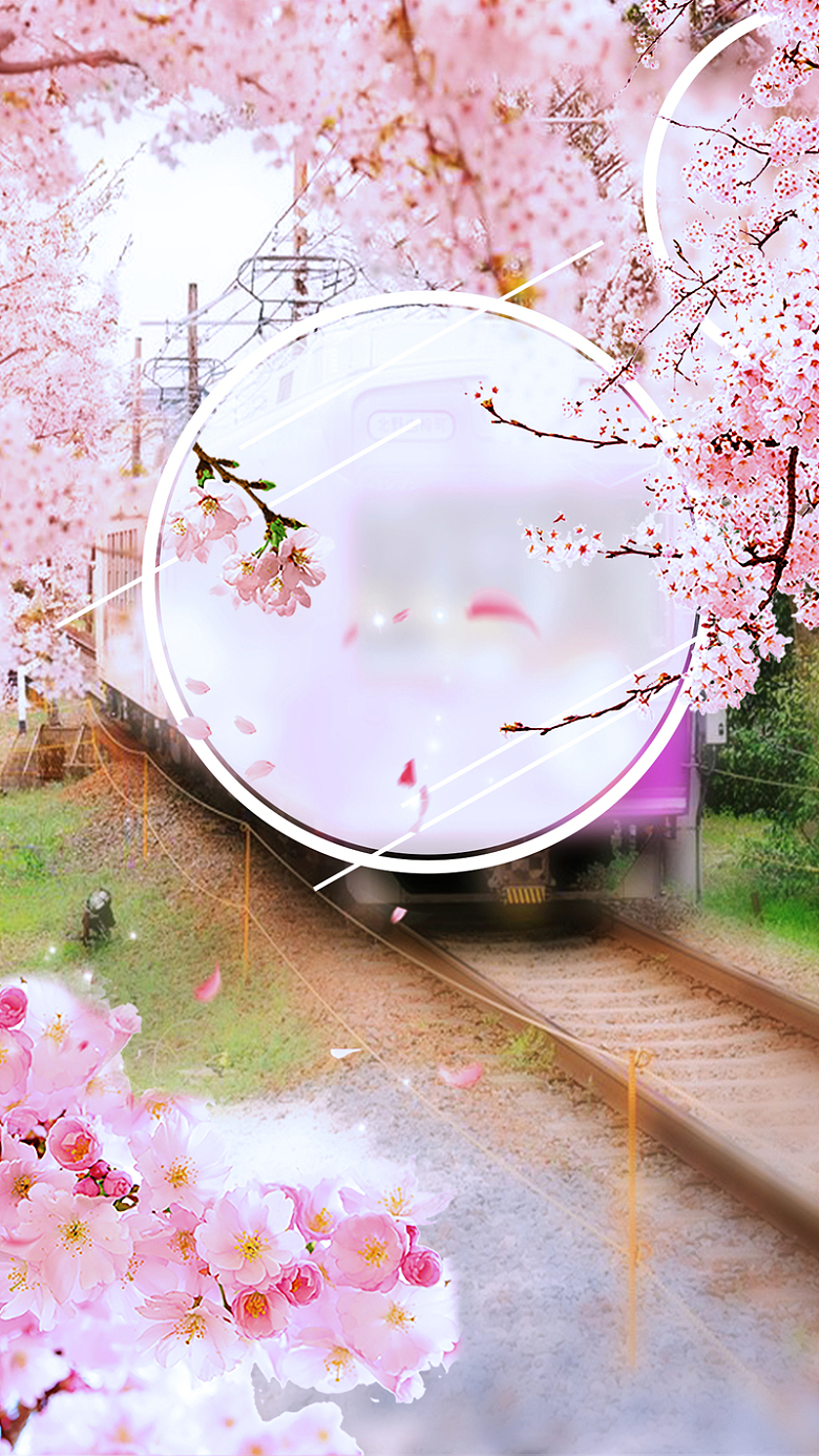 2017日本最美樱花节H5宣传海报背景