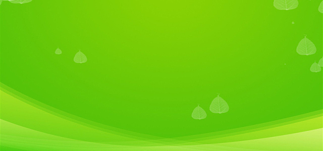 绿色清新薄荷叶背景