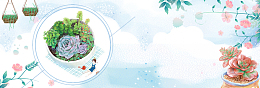 小清新手绘遇见多肉坊淘宝海报banner