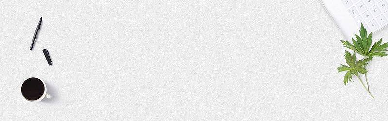 桌面白色简约文艺范banner