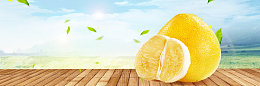 新鲜柚子上市清新banner