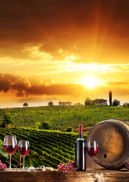 浪漫红酒海报背景