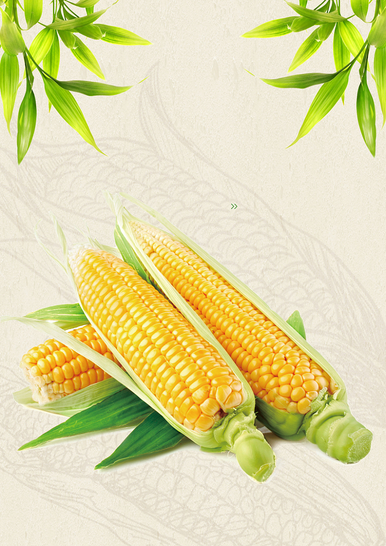 玉米有机蔬菜配送公司广告海报背景素材
