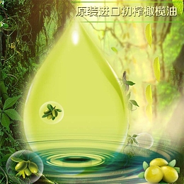 植物背景橄榄精油促销主图