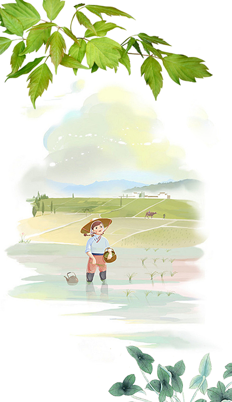 小满节气海报背景