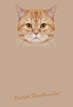 逼真猫咪头像海报背景素材