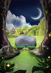 森林夜晚温馨背景