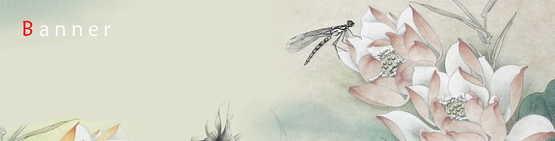 工笔画荷花蜻蜓淘宝网站背景图