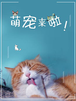 萌宠宠物店促销海报