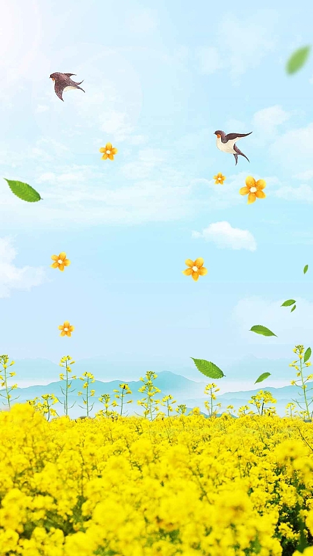 蓝色手绘油菜花春天psd分层h5背景素材