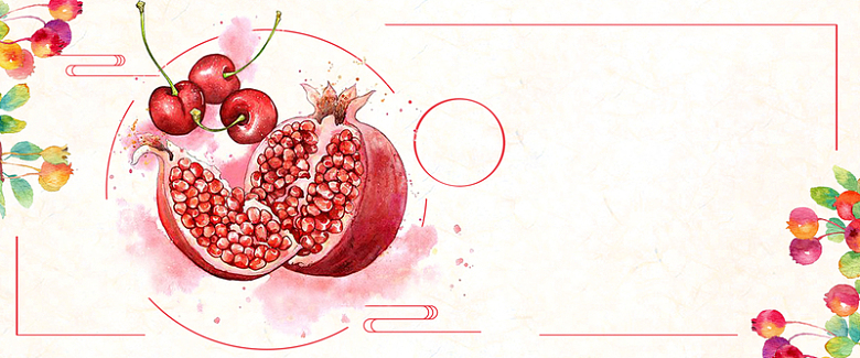 水果石榴手绘红色