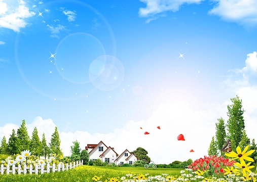 阳光明媚的花园鲜花盛开的背景图片