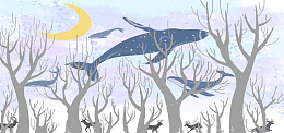 儿童图书插画鲸鱼banner