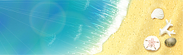 蓝色沙滩贝壳海洋banner背景