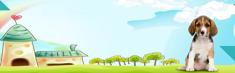 蓝色梦幻宠物banner海报背景