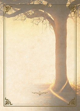 影集背景psdjpg撕痕空白纸张宣传画册封面矢量背景aijpg怀旧秋天枫叶