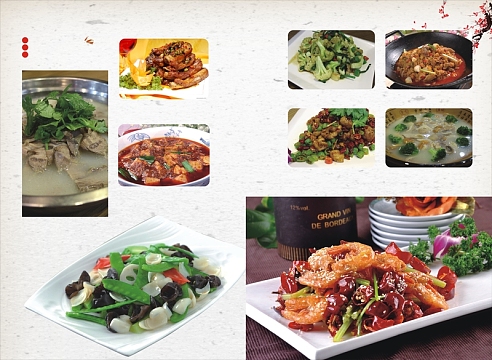 中国风美味菜肴菜单美食元素背景
