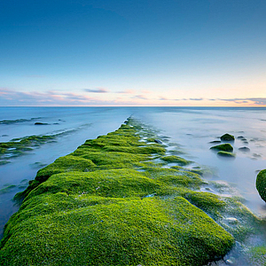 简约清新风景背景图