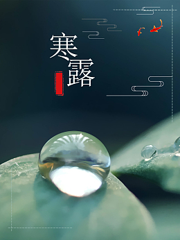 寒露二十四节气深绿色清新水滴海报背景ps