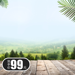 清新自然风格家用电器电饭煲直通车主图