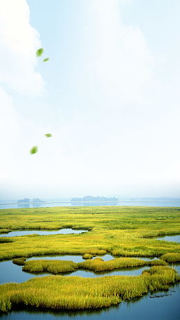 湿地保护日宣传海报背景