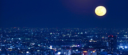 夜城市