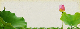 夏至荷花背景Banner